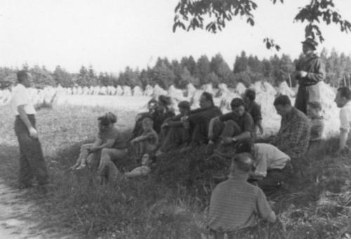 Pokyny před závodem