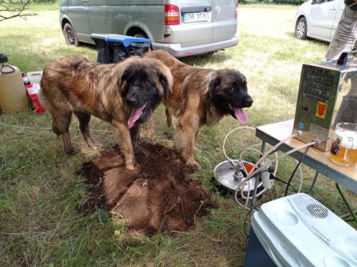 Bude něco k snědku? Otova ochranka