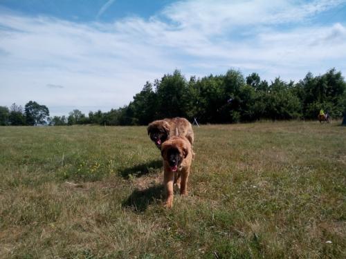 Mia a Dax Kozlíkovi na obhlídce okolí