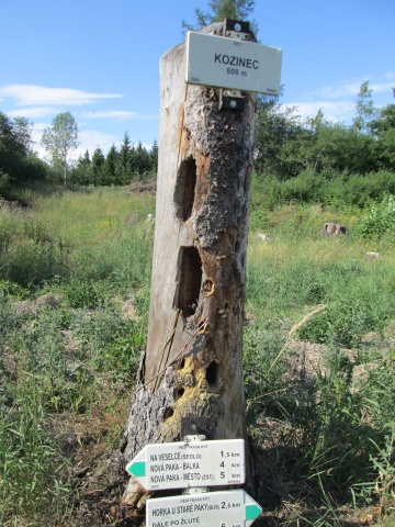 Kóta Kozinec 608 m nad mořem